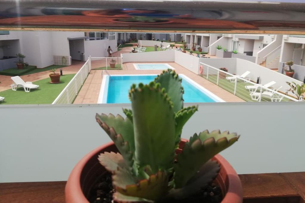 Blue Ocean Corralejo: Sunny Terrace, Pool, Wifi Apartment Bagian luar foto